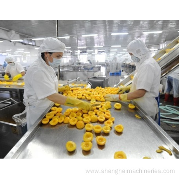 Peach/cucumber canned production line